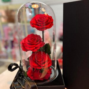 Ever Rose / Glass