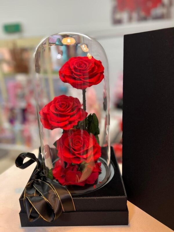 3 Stem Glass Dome Ever Rose